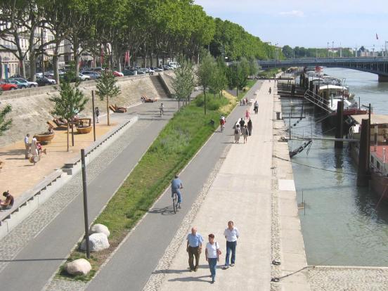 lyon-1