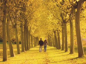 couple-promenade1